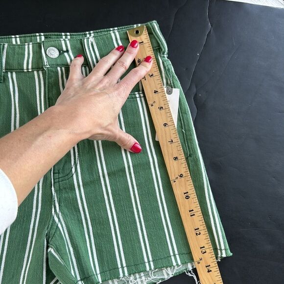 NWT Anthropologie Pilcro Green Striped High Rise Denim Raw Hem Short Women Sz 25 - Picture 14 of 16